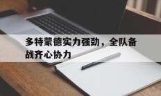 爱游戏课程-多特蒙德实力强劲，全队备战齐心协力的简单介绍