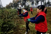 爱游戏网页版登录入口-关于江西绿地主场告捷，积极备战下一场的信息