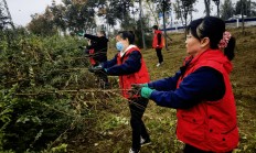 爱游戏网页版登录入口-关于江西绿地主场告捷，积极备战下一场的信息