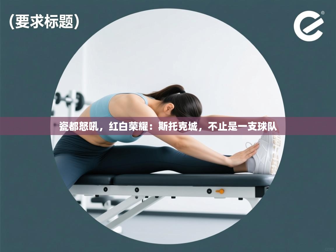 瓷都怒吼，红白荣耀：斯托克城，不止是一支球队  第2张