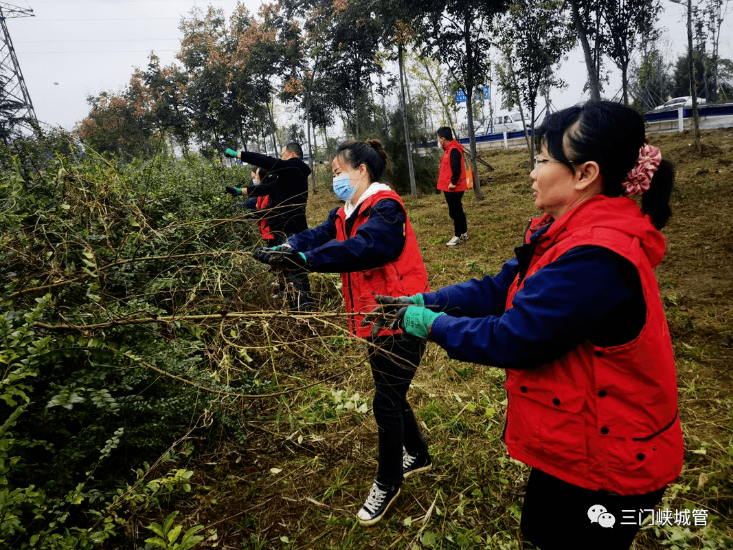 关于江西绿地主场告捷，积极备战下一场的信息