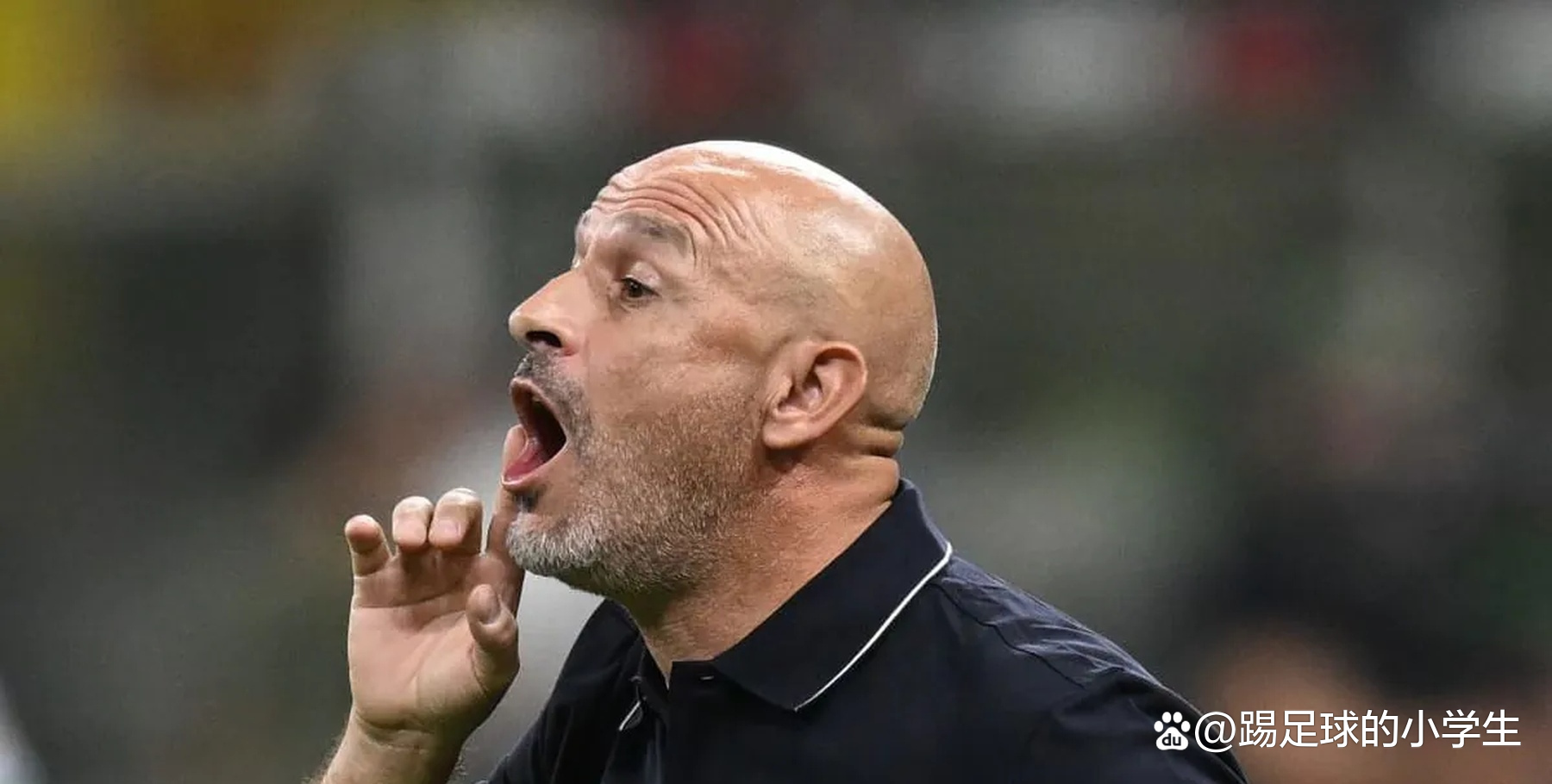 关于博洛尼亚客场不敌对手,遭遇连败的信息 关于博洛尼亚客场不敌对手,遭遇连败的信息